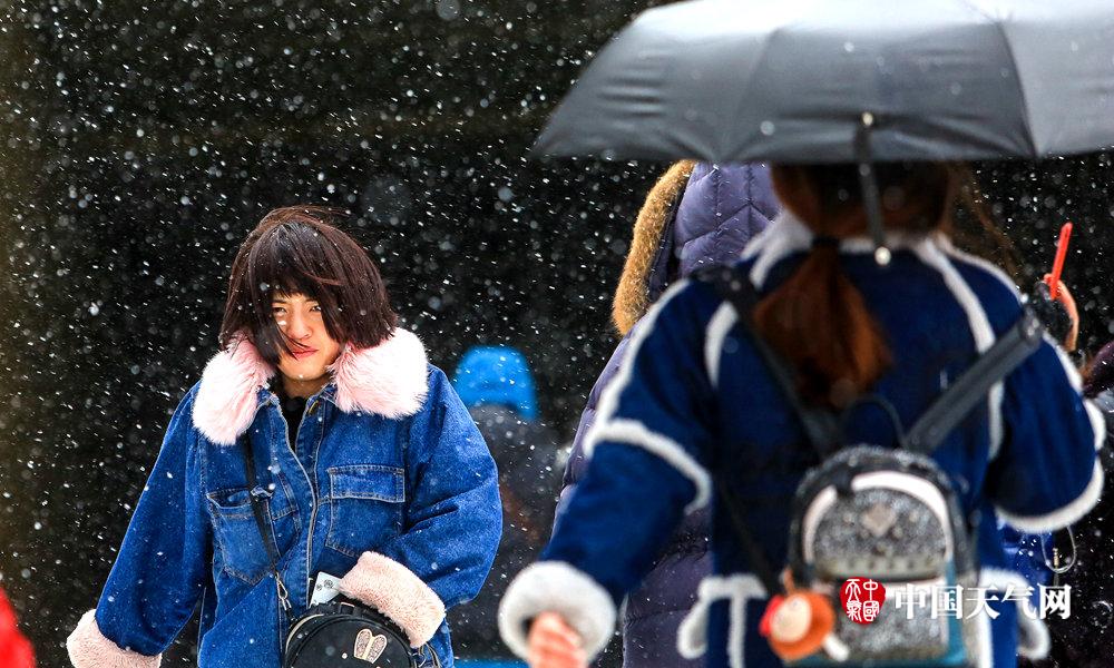 60度電池跑出100度續(xù)航！特斯拉電耗水平全球第一  雷軍承認小米需要3