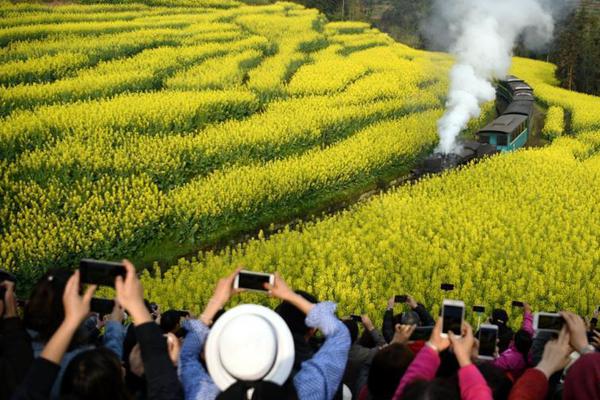 不要用什么“知遇之恩”來道德綁架明明