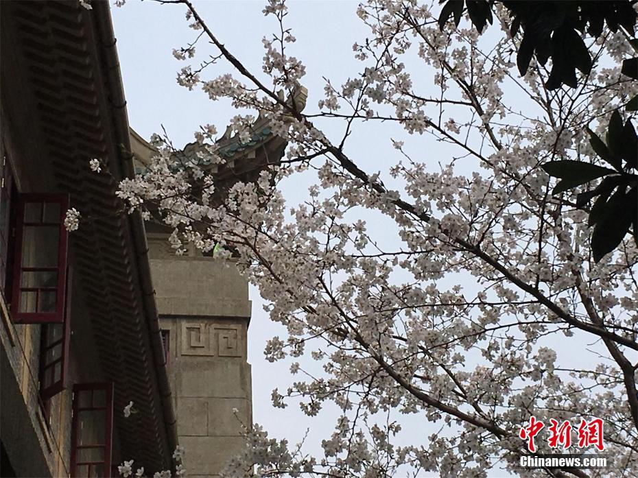 [流言板]站出來！蘭德爾單臂劈扣后再打成高難度2+1，森林狼追至12分