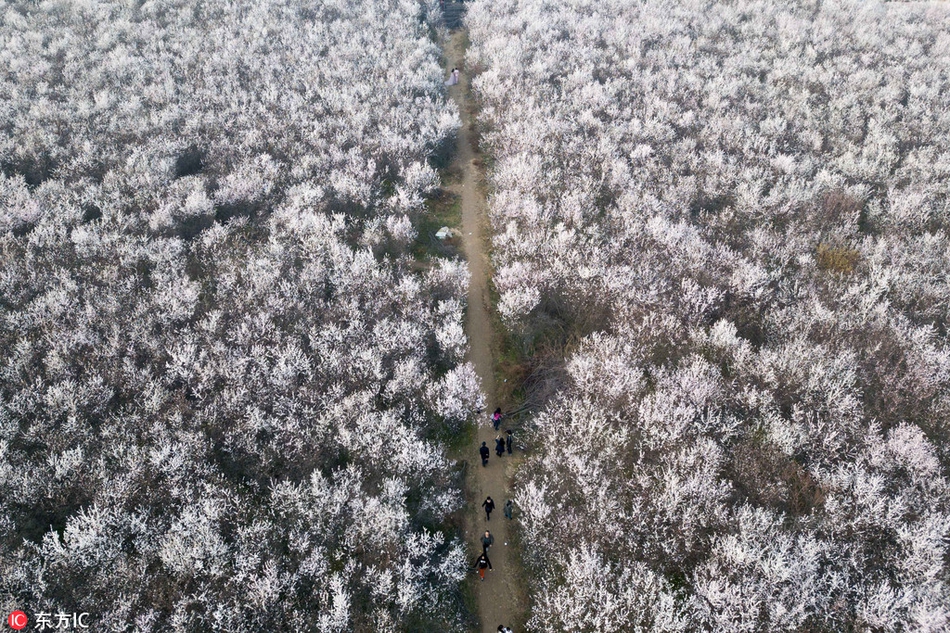 [流言板]打花比賽！波普助攻艾薩克完成空接暴扣，魔術(shù)領(lǐng)先鵜鶘24分