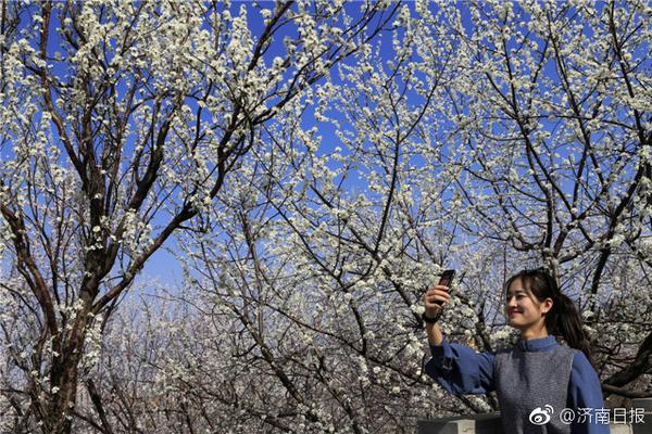 原生鴻蒙2024年度先鋒榜發(fā)布  最受花粉歡迎的年度歌單、片單、書(shū)單來(lái)了！