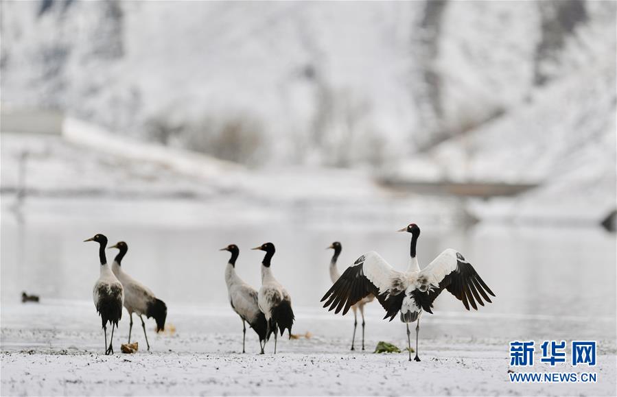 完勝百萬保時(shí)捷卡宴：極氪7X成功登頂“中國最具挑戰(zhàn)大雪道”