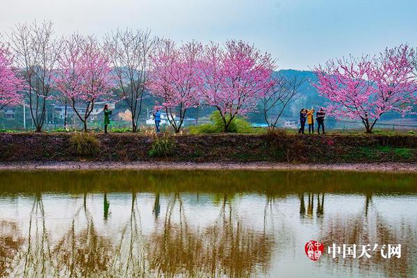 11月18號(hào)明日美職藍(lán)競(jìng)籃NBA勝負(fù)前瞻大小分預(yù)測(cè)推薦：公牛VS活塞