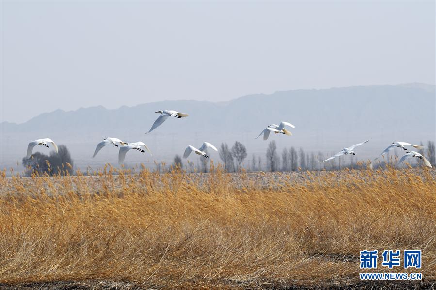 董明珠稱格力芯片成功了：沒拿國家一分錢