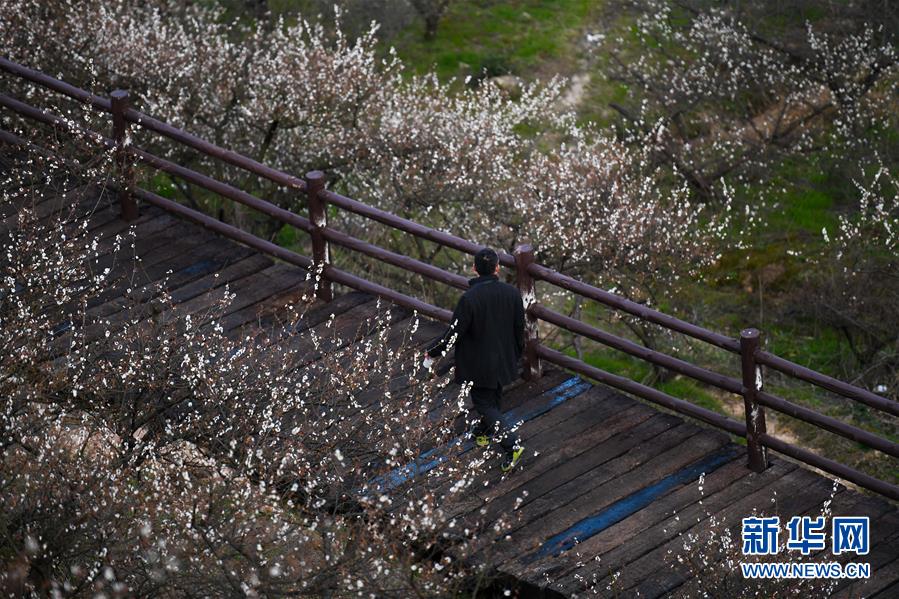 達米安殺入禁區(qū)破門，但手球在先進球無效