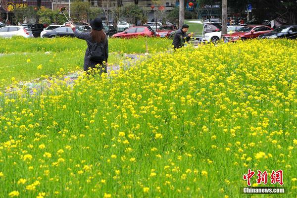 趙明：榮耀要成為另一個(gè)華為、挑戰(zhàn)蘋(píng)果 為做到手機(jī)業(yè)界第一努力