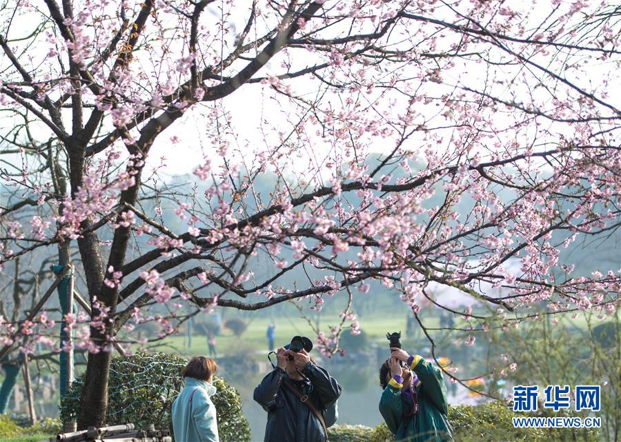 企業(yè)辦公應用加速鴻蒙化  多款鴻蒙原生版人力資源管理App上架  覆蓋超3萬家企業(yè)