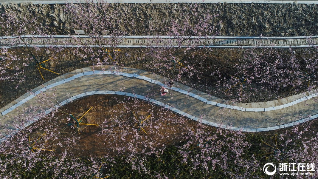 [流言板]史上最帥地板？多個媒體曬出猛龍今日的城市版主題地板