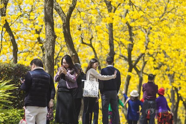 才打兩天比賽，pcl就出現(xiàn)了三個單日0殺的選手